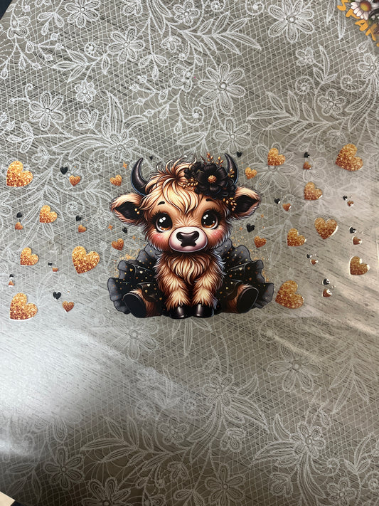 baby highland cow