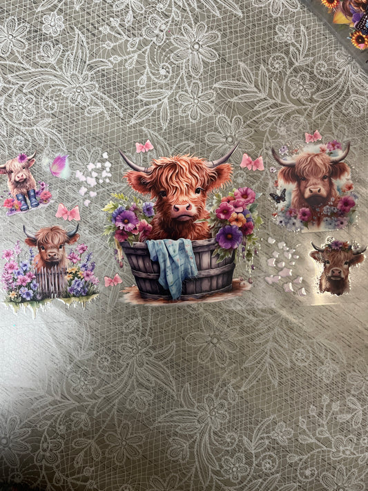 Baby cow
